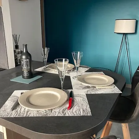 Elegant 45 M2 6 + Garage. Idealement Situe Apartment Lyon