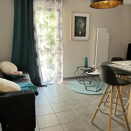 Appartement Elegant 45 M2 6 + Garage. Idealement Situe Lyon